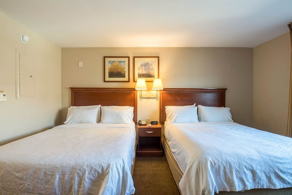 Western Slope Suites - photo 15