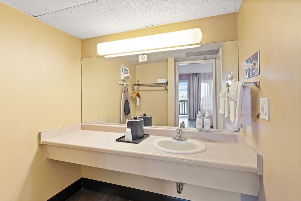 Vagabond Inn Executive San Francisco Airport - photo 27