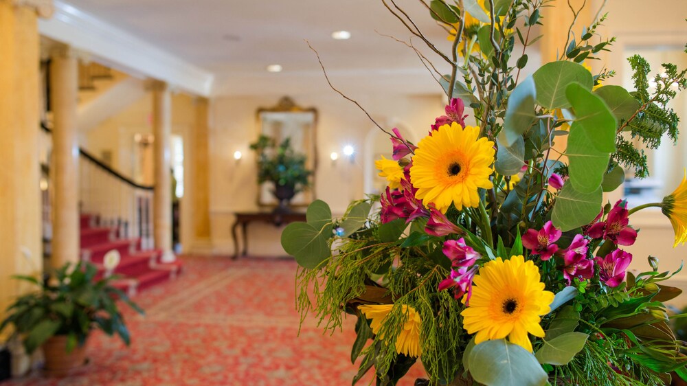 Airlie Hotel - photo 3