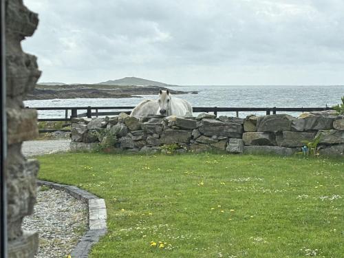 Apartment 471 Clifden — 4-Star Luxury Hotel in Clifden, Republic of Ireland