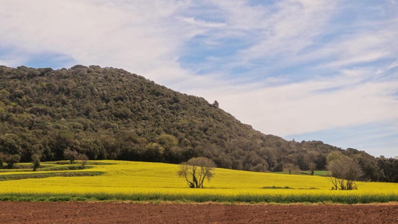 Els Masos de Caula — Girona — photo 5