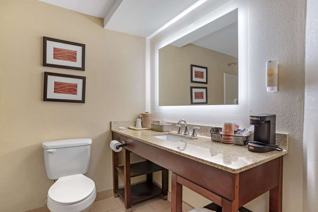 Comfort Inn Opelika Auburn - photo 13