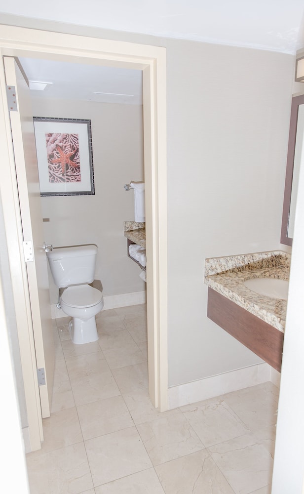 Embassy Suites by Hilton West Palm Beach Central - photo 33