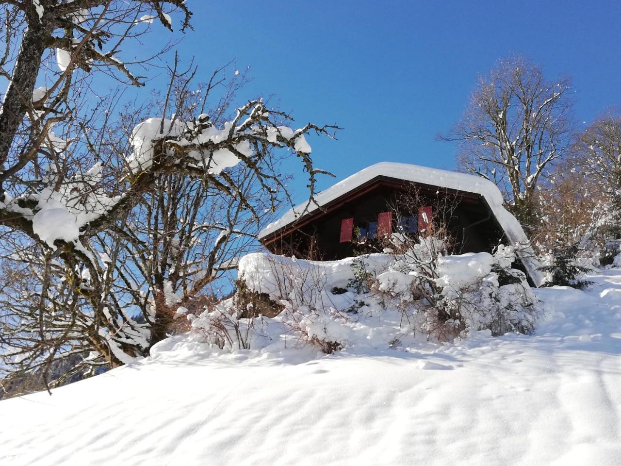Ferienhaus Schnider in Sankt Gallenkirch, Austria