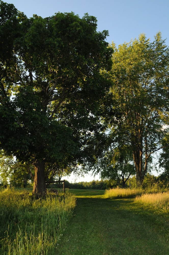 Gedney Farm - photo 38