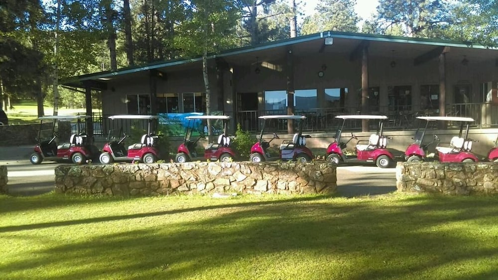 Pendaries Village Lodge - photo 17