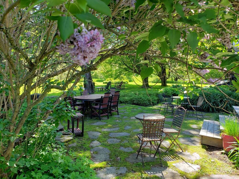 The Swanson Inn - photo 25