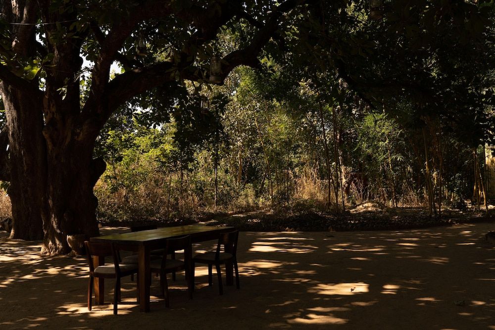 Bagh Tola Bandhavgarh in Umaria, India