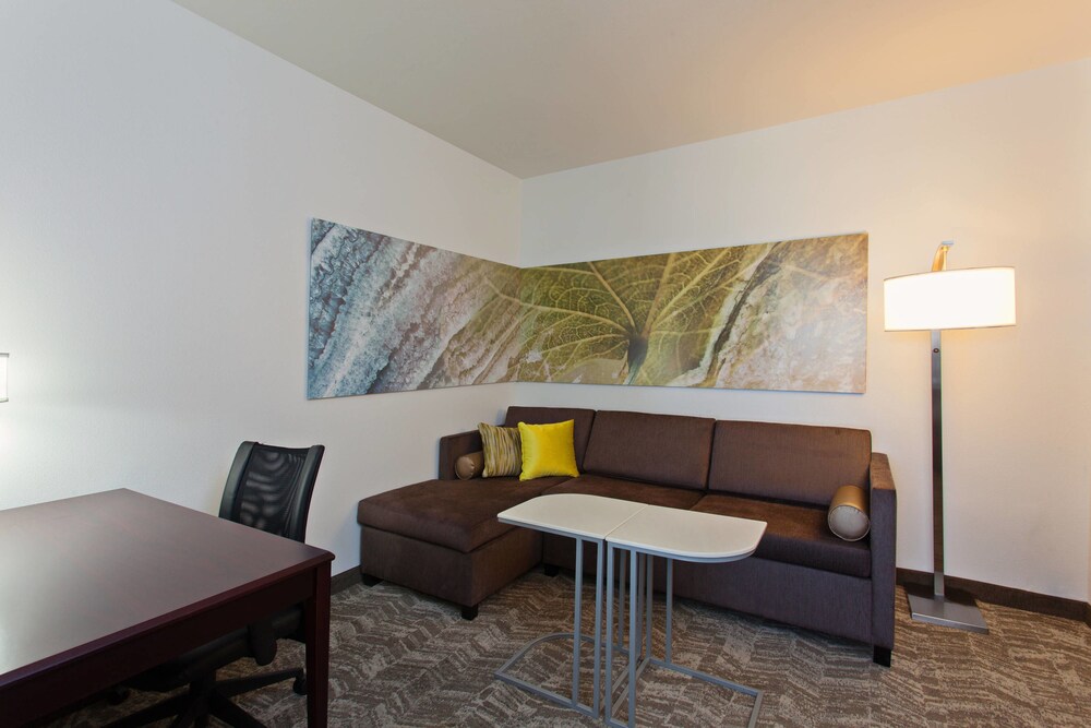 SpringHill Suites by Marriott El Paso - photo 7