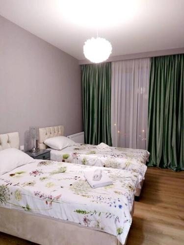 Luxury 2 BR Apartment in Isani