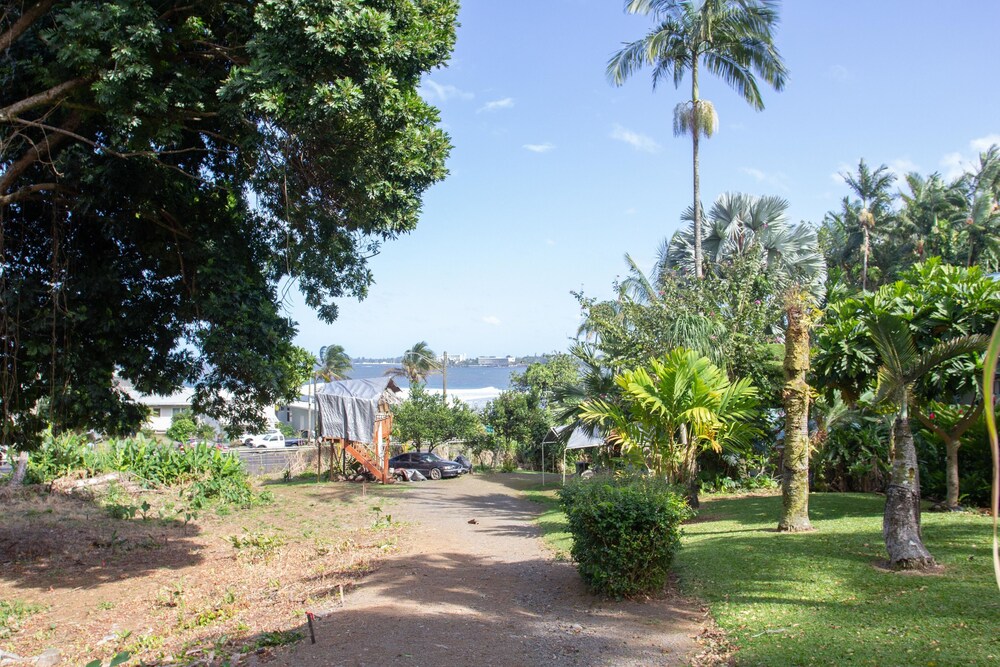 Wild Ginger Inn Hotel - photo 39