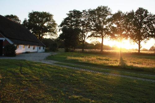 Vakantieverblijf Aan de Vaart — Tynaarlo — photo 4