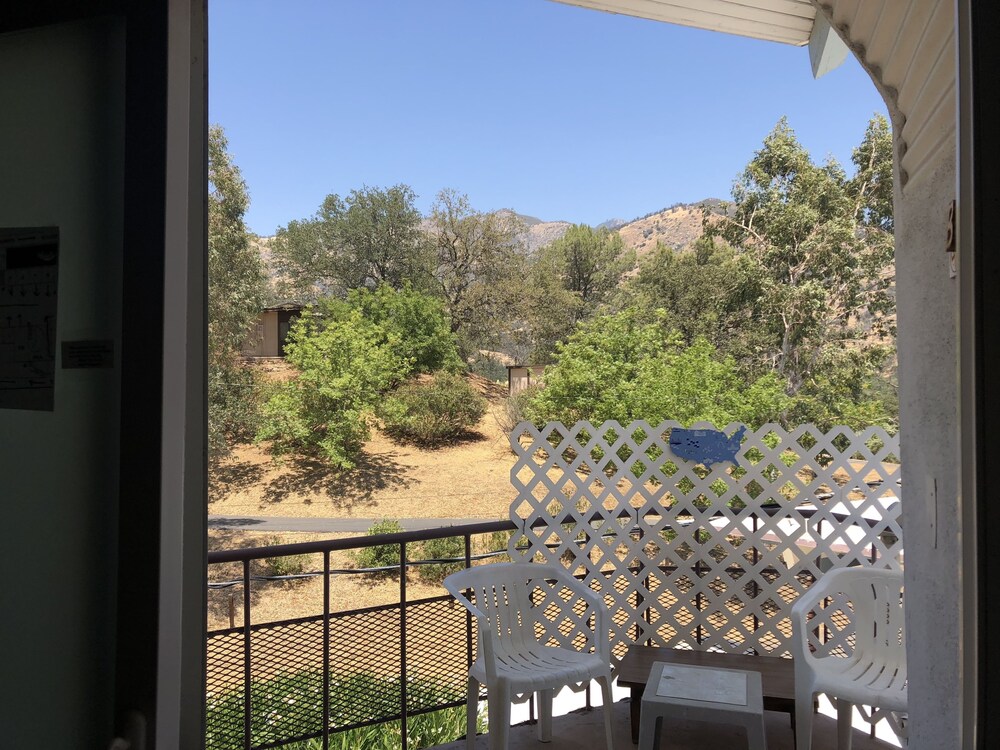 Sequoia Village - photo 25