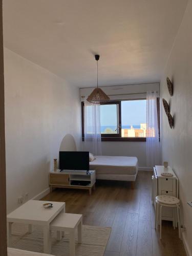 Studio Moderne Avec Vue Mer Pietranera Proche Bastia — hotel in San-Martino-Di-Lota