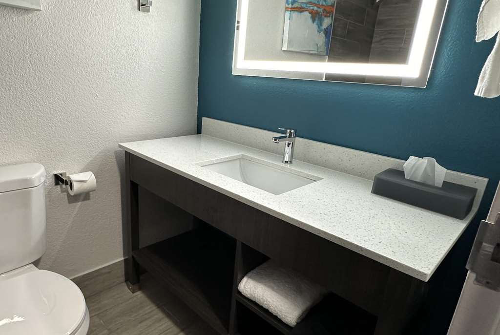 La Quinta Inn & Suites by Wyndham South Holland - photo 23