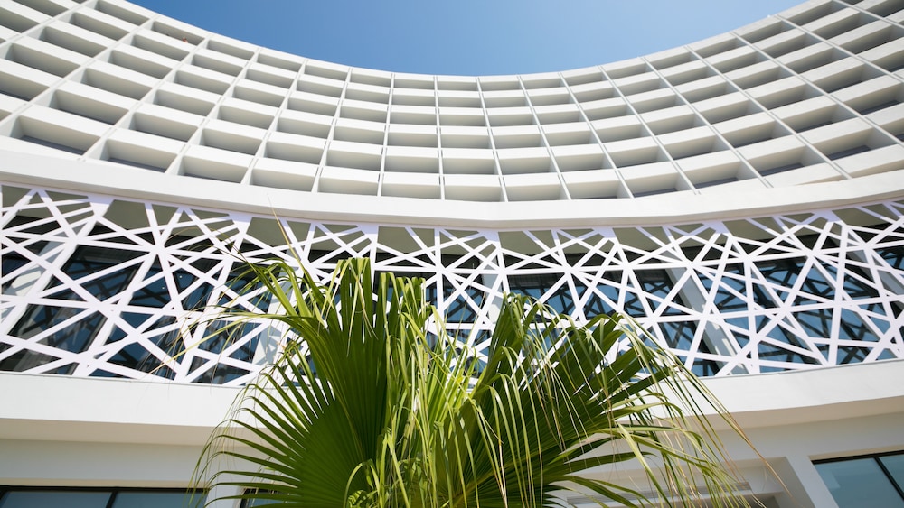 מראה חיצוני