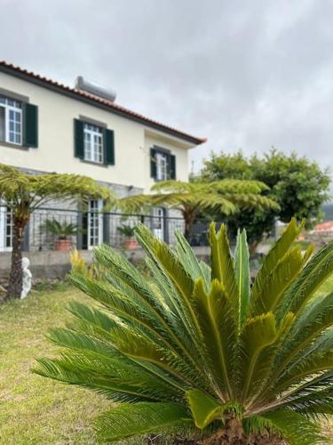 Guest House Santinhos — 4-Star Luxury Hotel in Estreito Da Calheta, Portugal