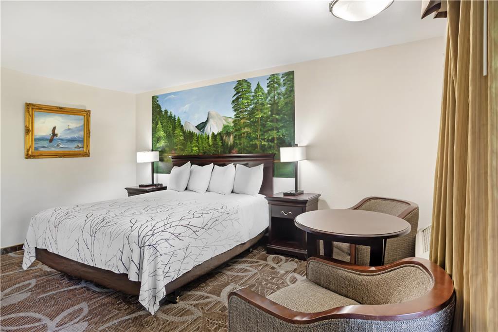 Best Western Plus Yosemite Gateway Inn - photo 21