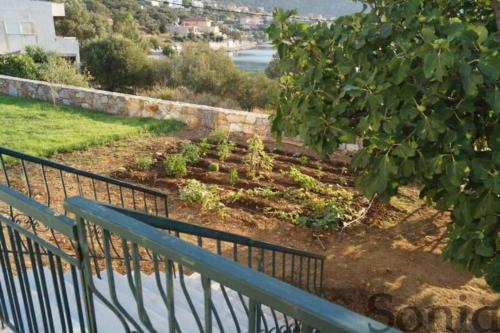 Villa Elaia Mirtila 50m From Sea — Agios Dimitrios — photo 2
