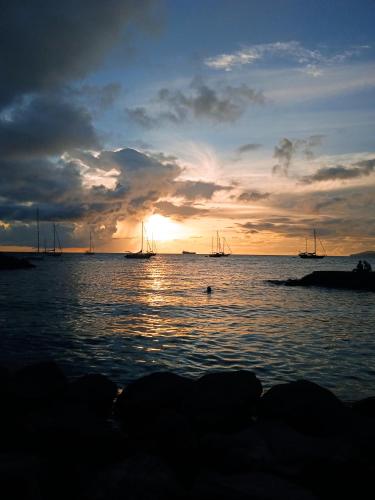 Picheton Marina 1 — 4-Star Luxury Hotel in Les Trois-Ilets, Martinique