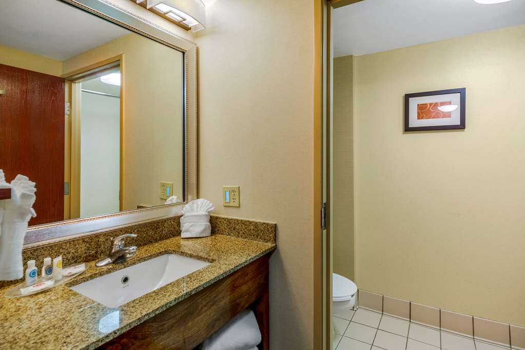 Comfort Suites Manassas Battlefield Park - photo 14