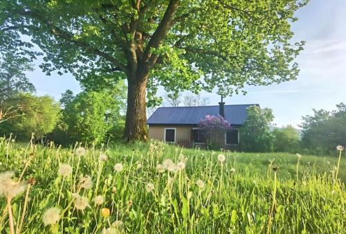 Kuca za odmor Lipa in Otocac, Croatia