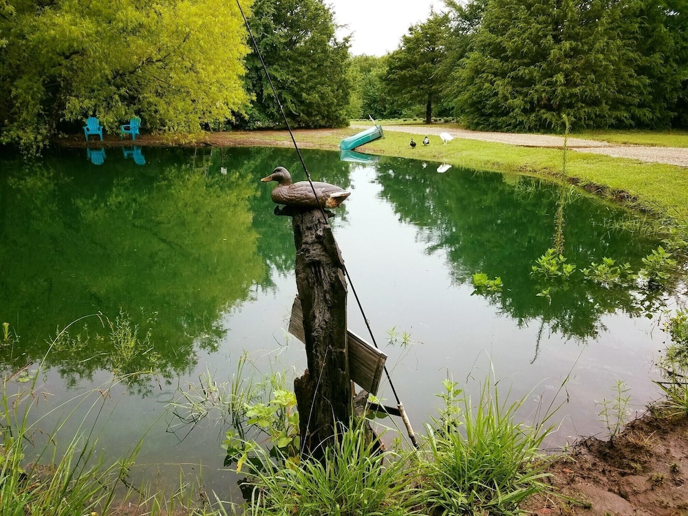 Savannah's Meadow - photo 46