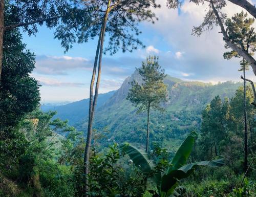 Hidden Gem Inn - carbon neutral hotel in Ella Town