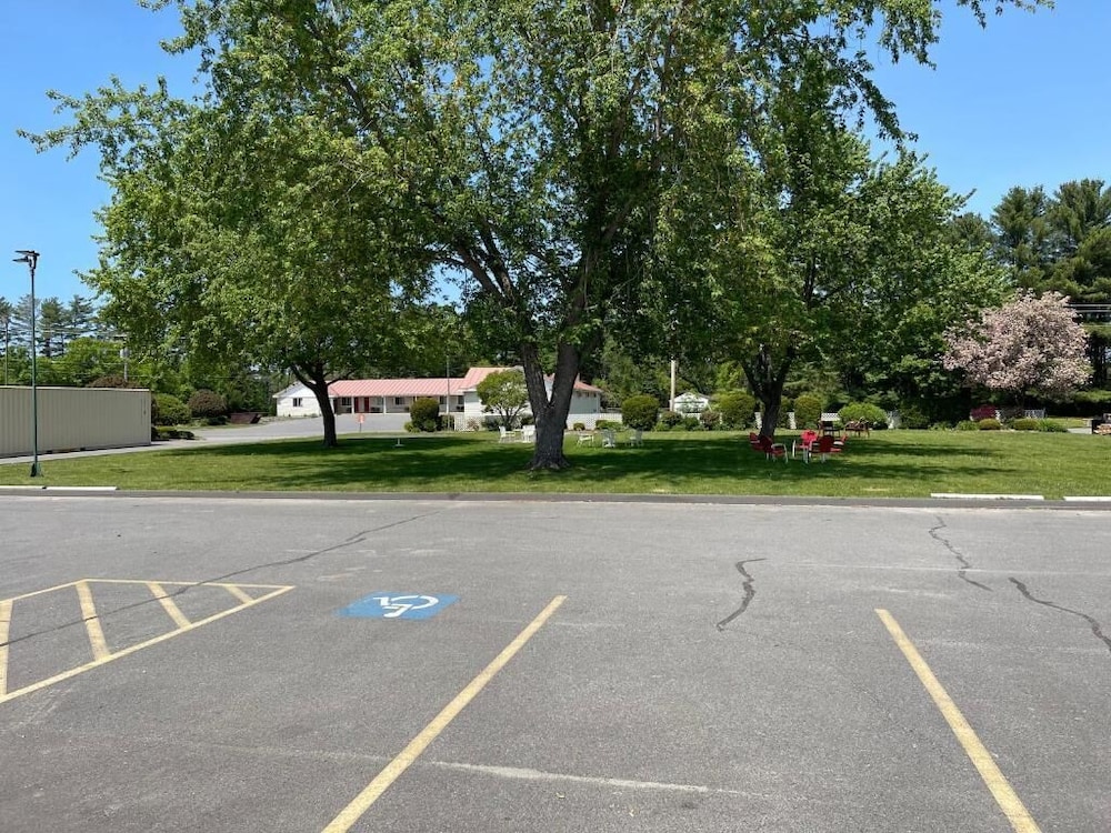 Belmont Motel - photo 37