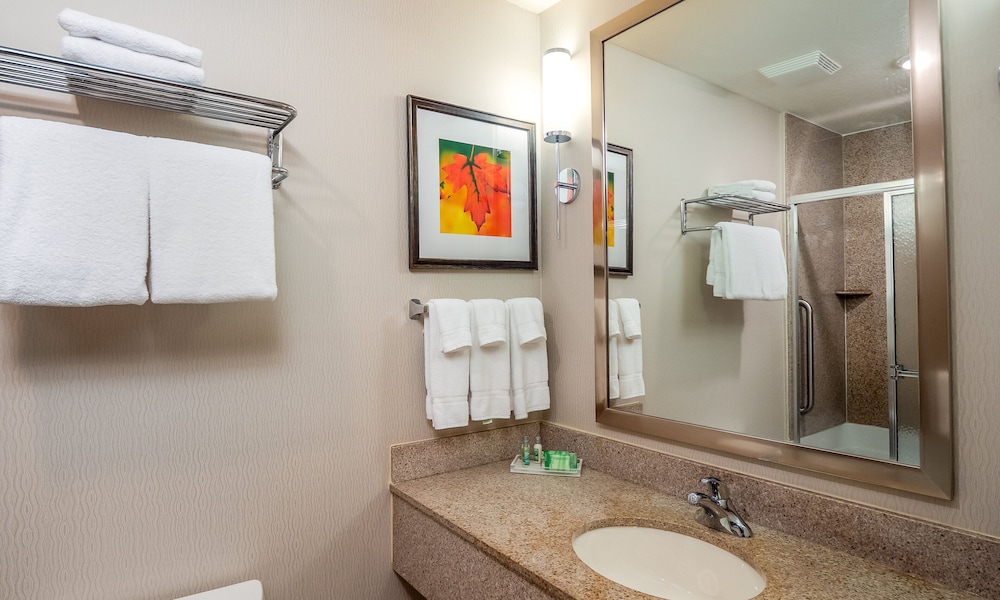 Holiday Inn Stevens Point Convention Ctr by IHG - photo 16