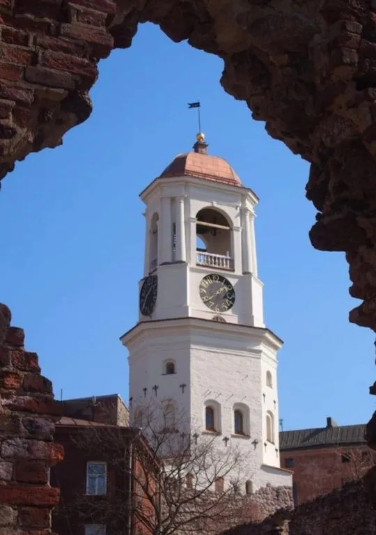 U Chasovoy Bashni S Prostornoy Kukhney Flat in Vyborg, Russia