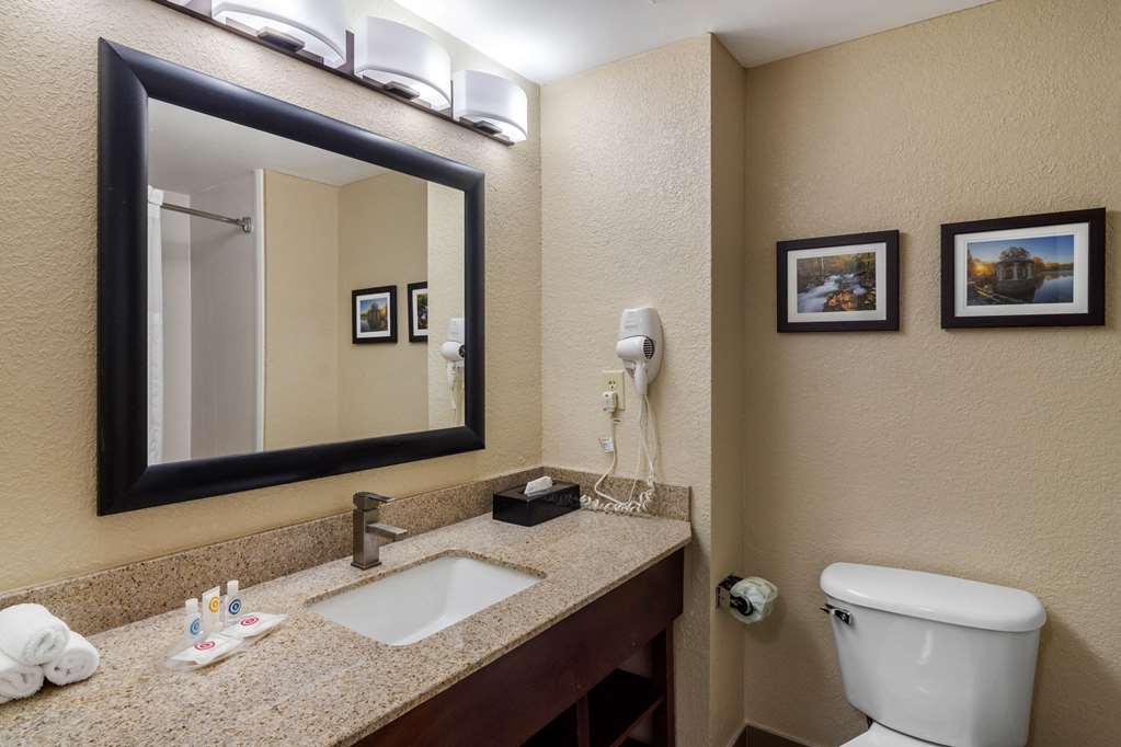 Comfort Suites Woodstock Atlanta North - photo 18