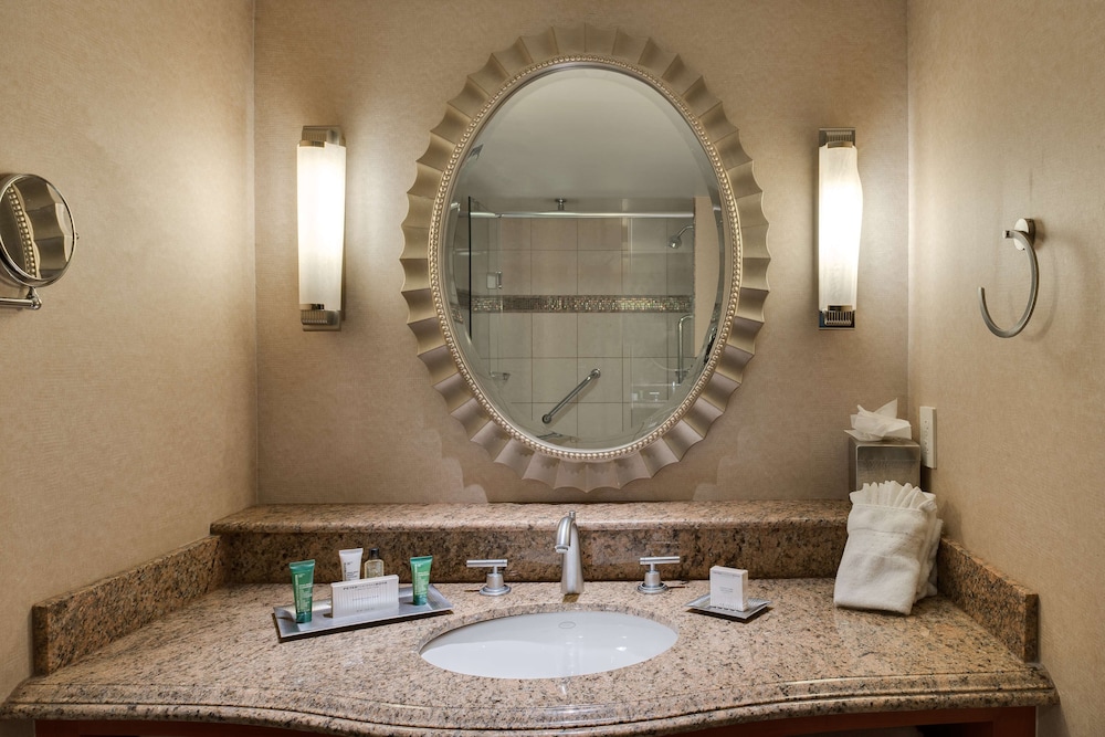 DoubleTree by Hilton Washington Dulles Airport - photo 18