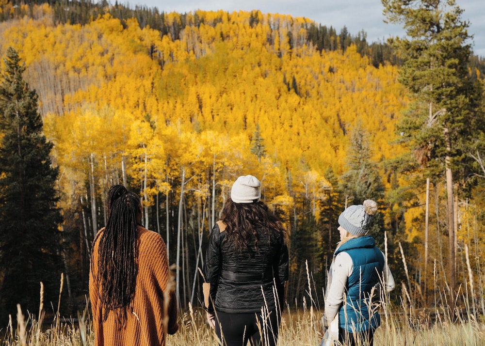 W Aspen - photo 46