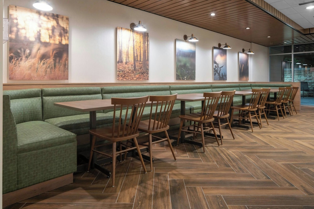 Fairfield Inn & Suites by Marriott Dallas DFW Airport North Irving - photo 22