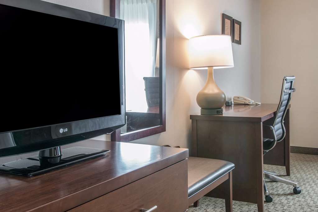 Comfort Suites Wixom Novi - photo 19