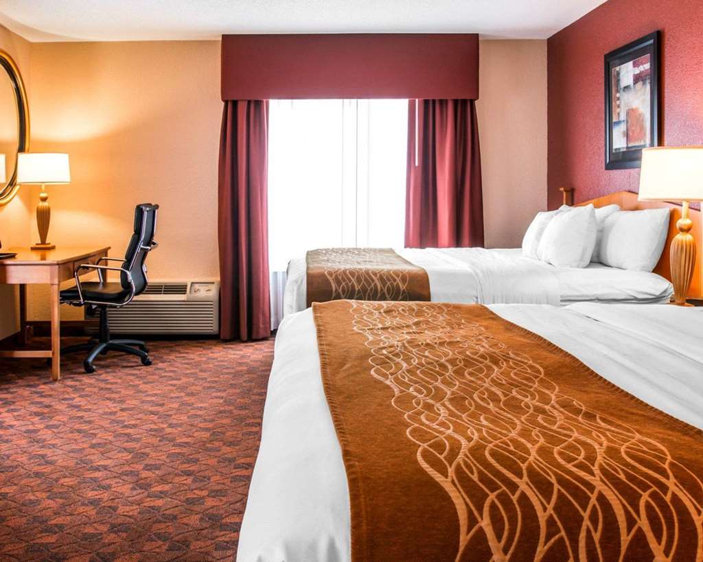 Comfort Inn & Suites and Conference Center - photo 6