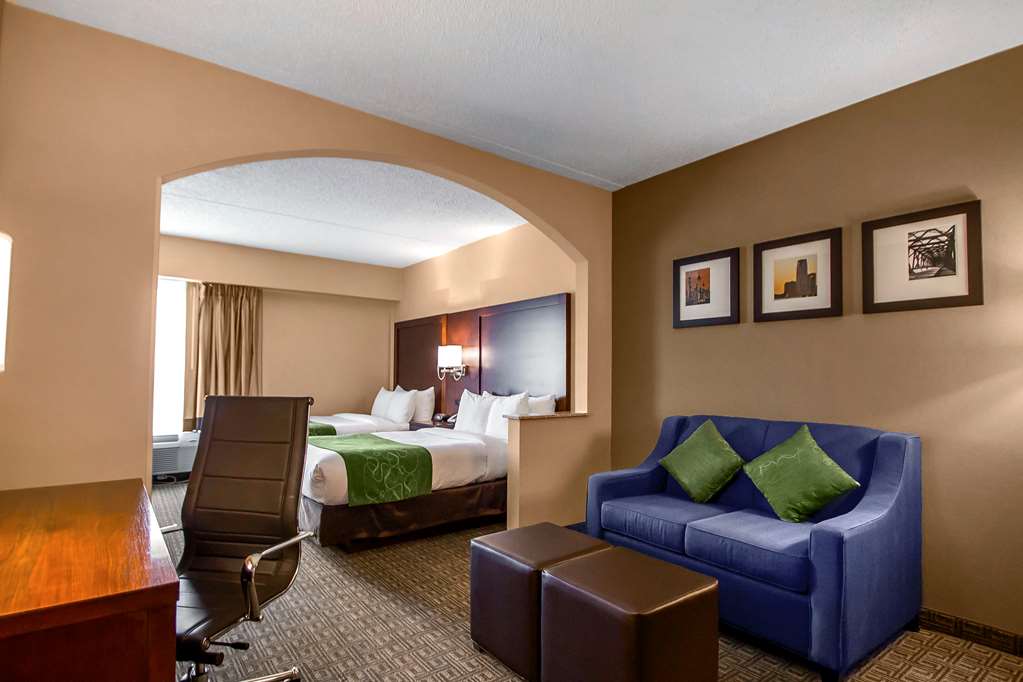 Comfort Suites at Woodbridge - photo 35