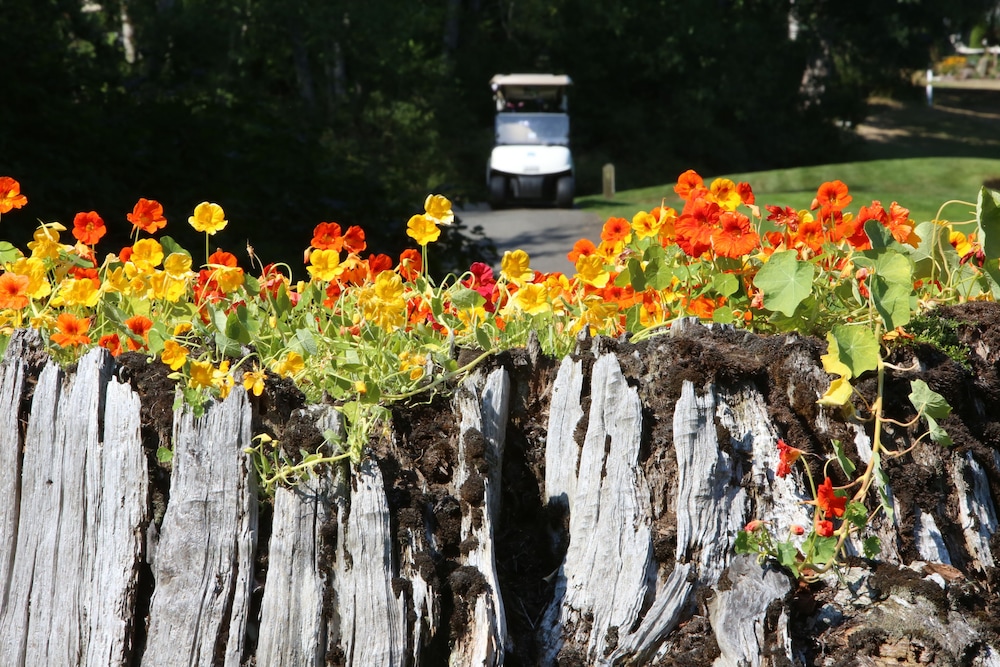 The Resort at Port Ludlow - photo 21