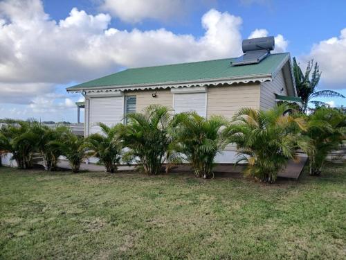 Fare Barracuda in Lamentin, Guadeloupe