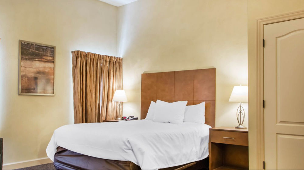 O Fallon Suites Hotel - photo 6