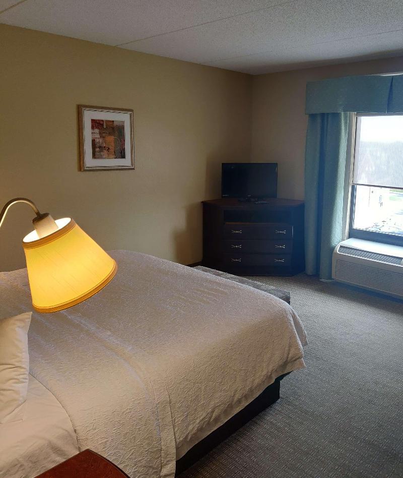 Hampton Inn Rochester Irondequoit - photo 41