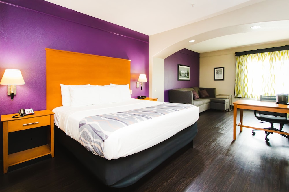 Palacio Royale Inn Signature Katy - photo 7