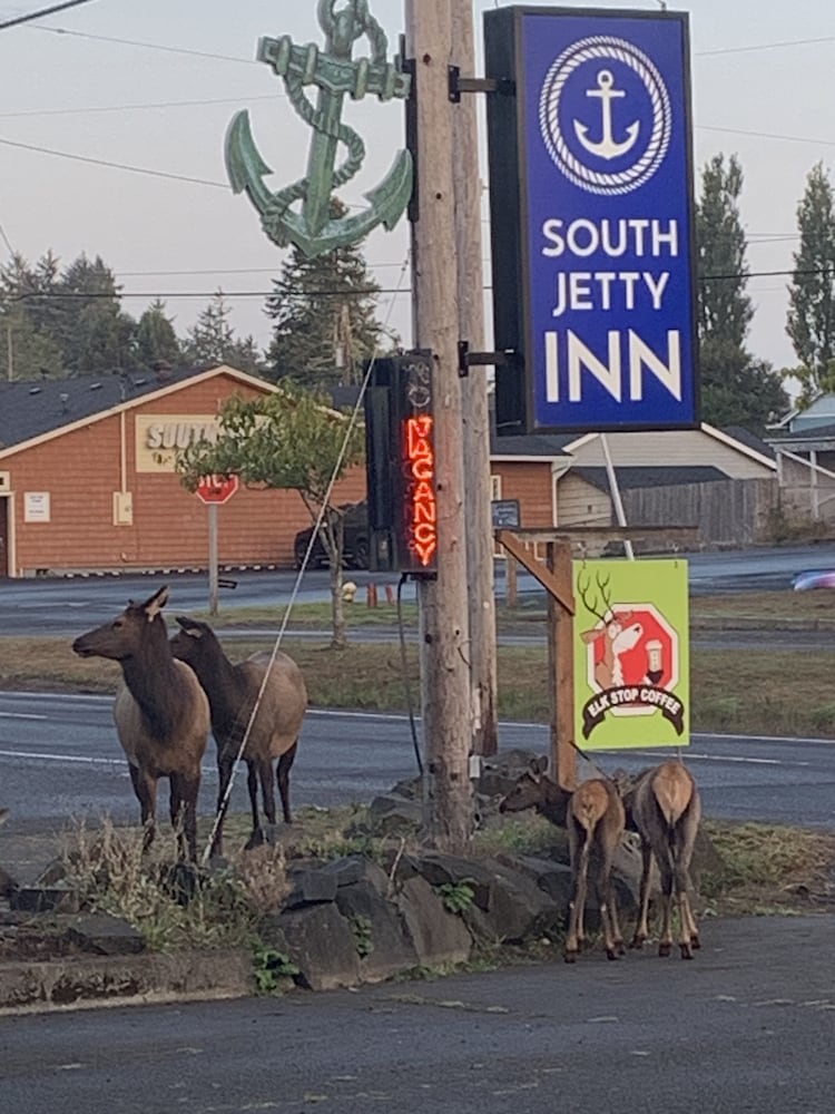 South Jetty Inn - photo 185