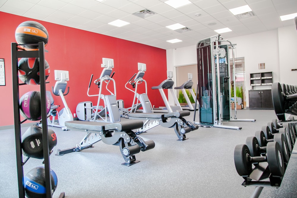 Hilton Garden Inn Tampa Suncoast Parkway - photo 53