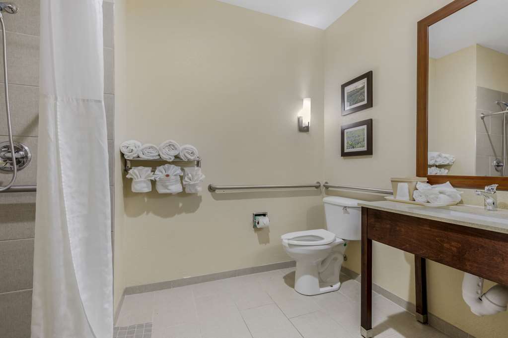 Comfort Suites Benbrook Fort Worth Southwest - photo 11