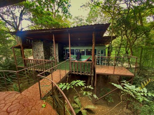 Ficus Wonders Bus - last minute hotel in Unknown City