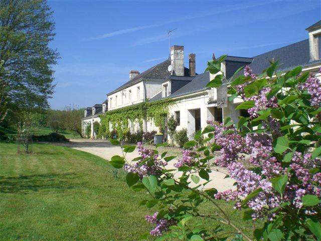 La Mesnagerie — hotel in Jarze