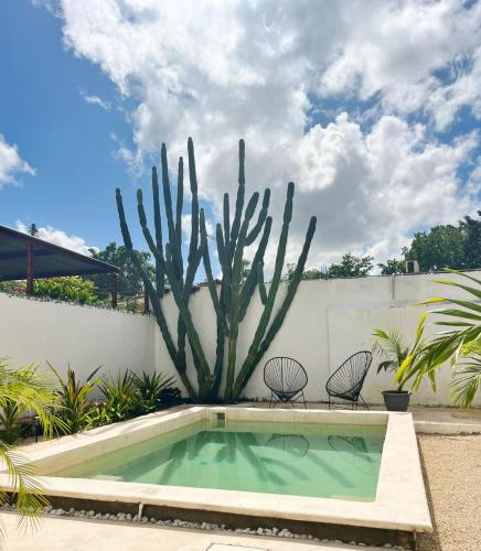 Yuxtal in Unknown City, Mexico