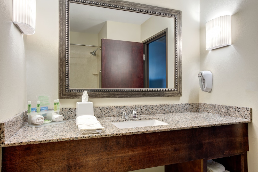 Holiday Inn Express Hotel & Suites Raceland Highway 90 by IHG - photo 20